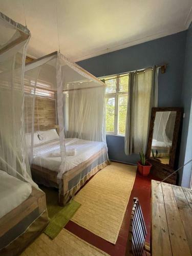 Albergue Jinja Backpackers