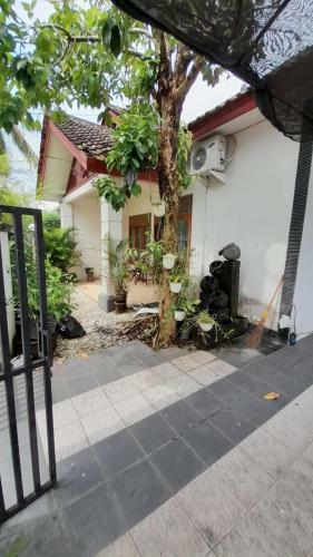 D'ersono Homestay
