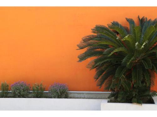 Casita Libre - Vacation Stay 12569