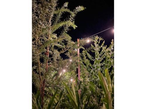 Casita Libre - Vacation Stay 12569