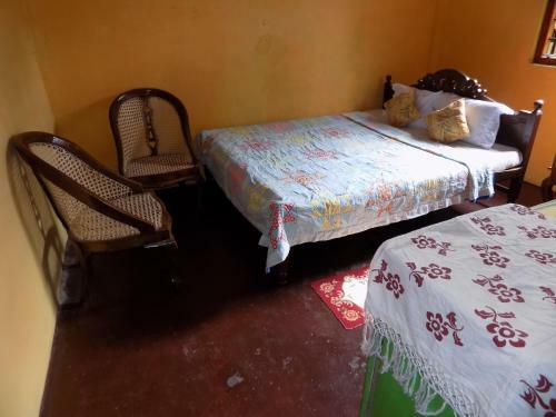 Bed & Breakfast Green House Randipola