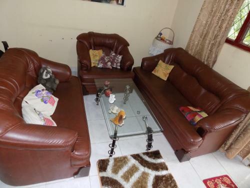 Bed & Breakfast Green House Randipola