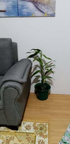 Apartamento Hampton Urban Deca Homes