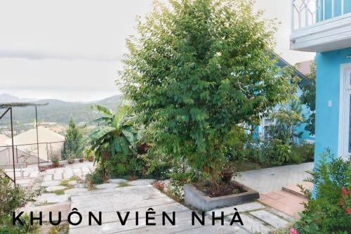 Hostal Moonlight Homestay