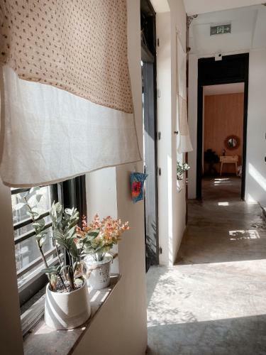 Hotel Thachy Coffee & Home