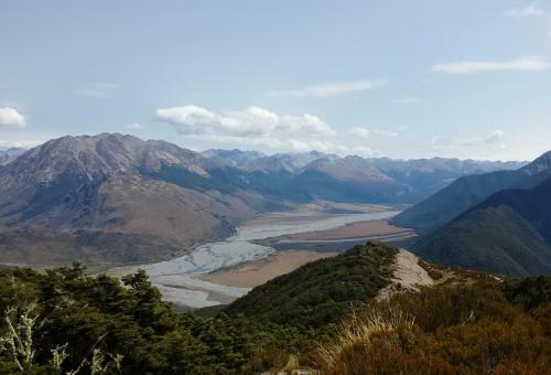 The Tussocks, Arthur's Pass