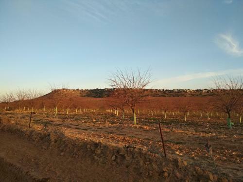 Casa Rural La Galana Albacete
