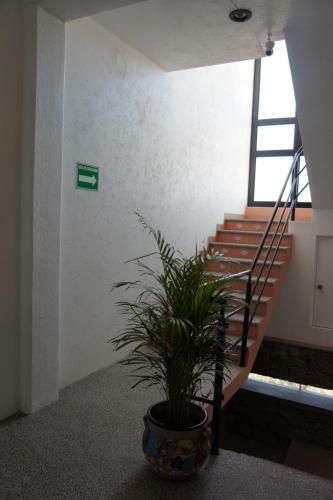 Apartamento Departamentos Cym