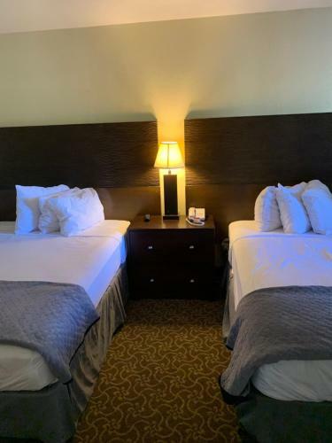 Hotel Extend-a-suites Tempe