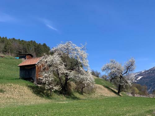 Apartamento Traumapartment Murmeltier Tirol