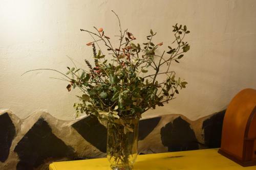 Agroturismo Casa Rural La Salamandrija