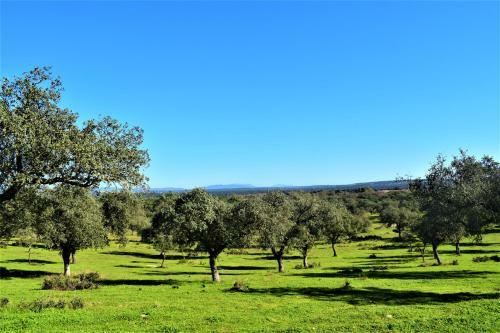 Agroturismo Casa Rural La Salamandrija