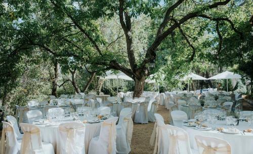 Agroturismo Cortijo De Ram�n