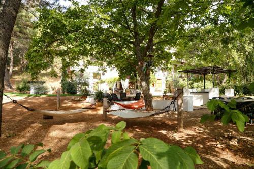 Agroturismo Cortijo De Ram�n