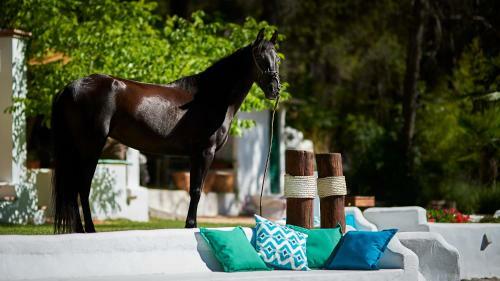 Agroturismo Cortijo De Ram�n