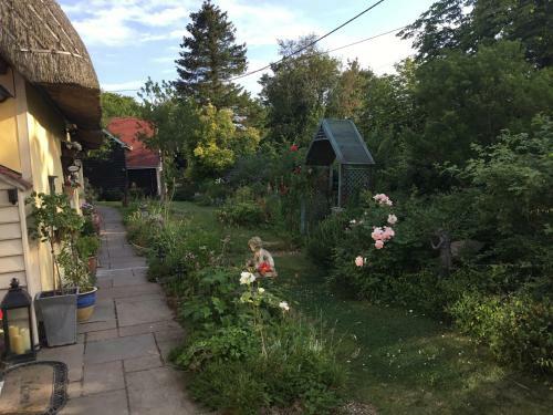 Hostal Ivy Todd Cottage