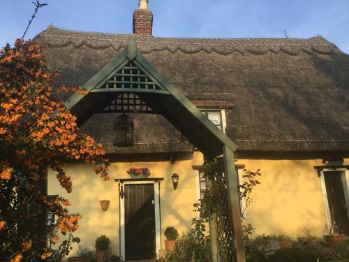 Hostal Ivy Todd Cottage