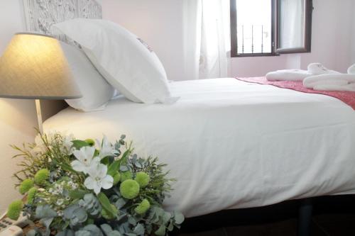 Apartamentos San Fernando 76