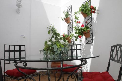Apartamentos San Fernando 76