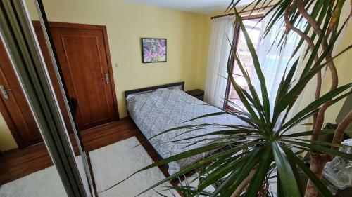 Apartamento Magic Sea View