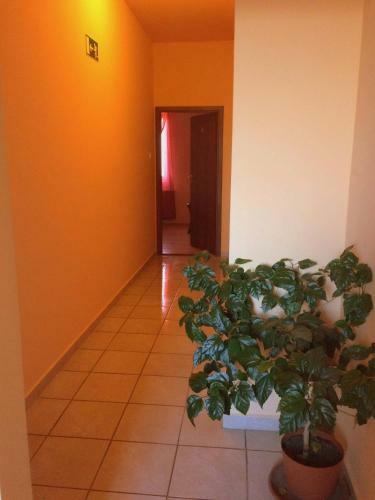 Hostal Op-art Etterem Es Panzio