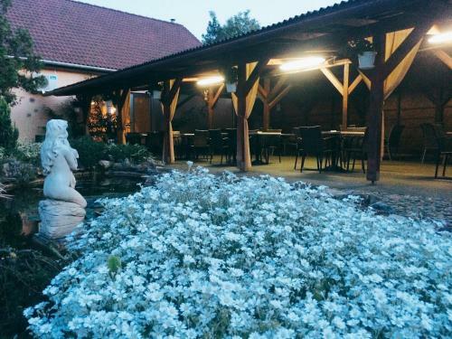 Hostal Op-art Etterem Es Panzio