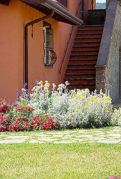 Agroturismo Tenuta Del Perugino