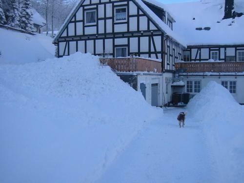Apartamento Gasthaus Wollmeiner