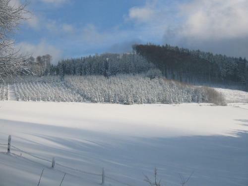 Apartamento Gasthaus Wollmeiner