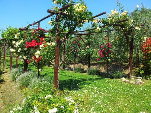 Agroturismo Agriturismo Casale Dei Frontini