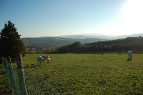 Agroturismo Agriturismo Casale Dei Frontini