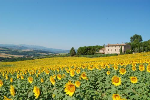 Agroturismo Agriturismo Casale Dei Frontini