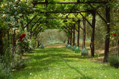 Agroturismo Agriturismo Casale Dei Frontini