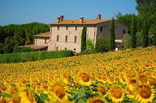 Agroturismo Agriturismo Casale Dei Frontini