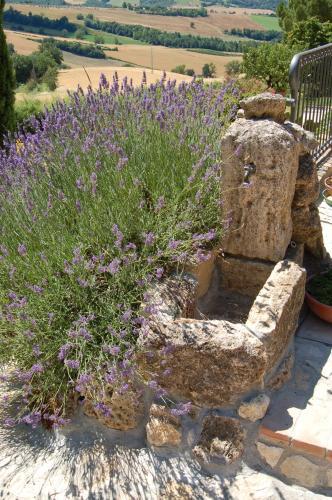 Agroturismo Agriturismo Casale Dei Frontini