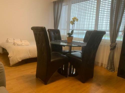 Apartamento Nice Studio Jet D'eau