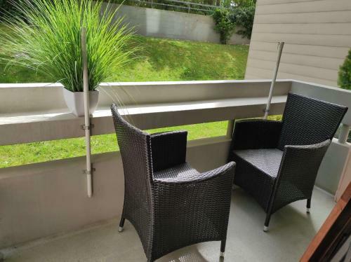 Apartamento Ferienwohnung Bergwiese 20