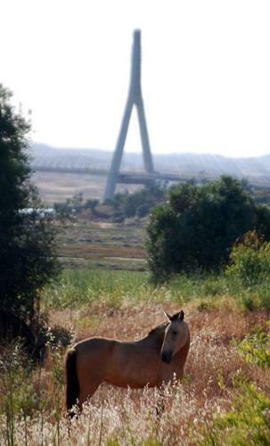 Apartamento Sunset ( 116)