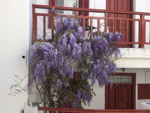 Kythnian Traditional 19th Century House