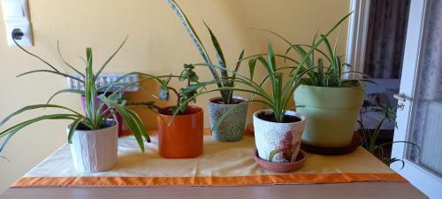 Apartamento Horizonview Plakes