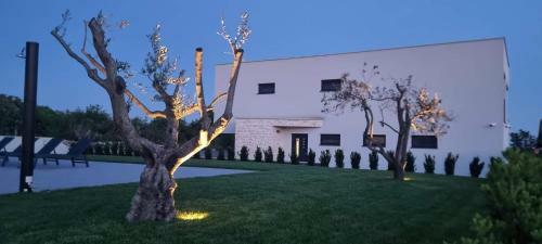 Pool House Klarici