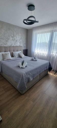 Pool House Klarici