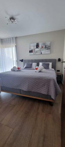 Pool House Klarici