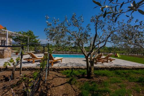 Villa Holiday House Olive Tree