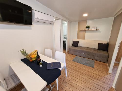 Mobile Home Blue Class B3