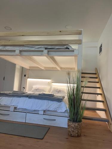 Apartamento Mr. Guest