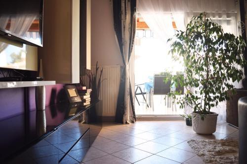 Apartman Ella