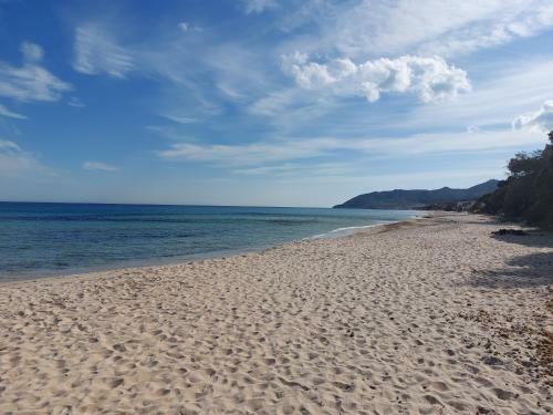 Apartamento Appartamento Incantevole A Pochi Minuti Dal Mare.