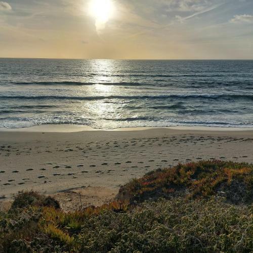 Apartamento Appartamento Incantevole A Pochi Minuti Dal Mare.