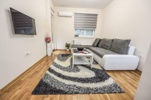 Yasmin Apartment (pozega In Serbia)